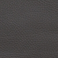 FRANKIA Kunstleder – Anthrazit FRANKIA Kunstleder – Anthrazit
