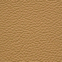 FRANKIA – Leder (Polster & Kissen) – Beige FRANKIA – Leder (Polster & Kissen) – Beige