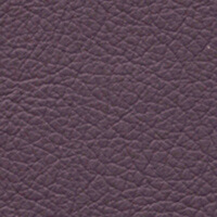 FRANKIA – Leder (Polster & Kissen) – Brombeer FRANKIA – Leder (Polster & Kissen) – Brombeer