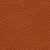 FRANKIA – Leder (Polster & Kissen) – Cognac FRANKIA – Leder (Polster & Kissen) – Cognac