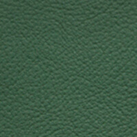 FRANKIA – Leder (Polster & Kissen) – Lind FRANKIA – Leder (Polster & Kissen) – Lind