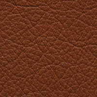 FRANKIA – Leder (Polster & Kissen) – Tabak FRANKIA – Leder (Polster & Kissen) – Tabak